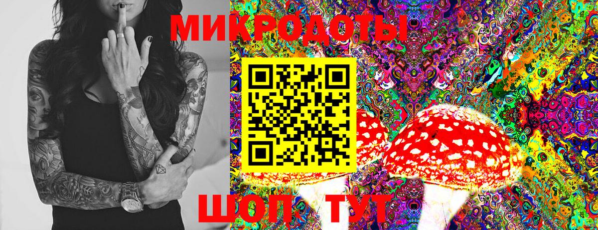 Псилоцибиновые грибы Psilocybine cubensis Петропавловск-Камчатский