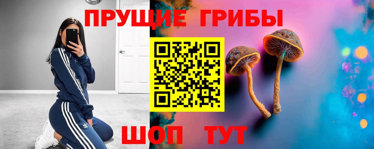 Галлюциногенные грибы мицелий  Вход с VPN  Петропавловск-Камчатский 